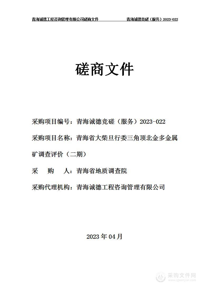 青海省大柴旦行委三角顶北金多金属矿调查评价（二期）