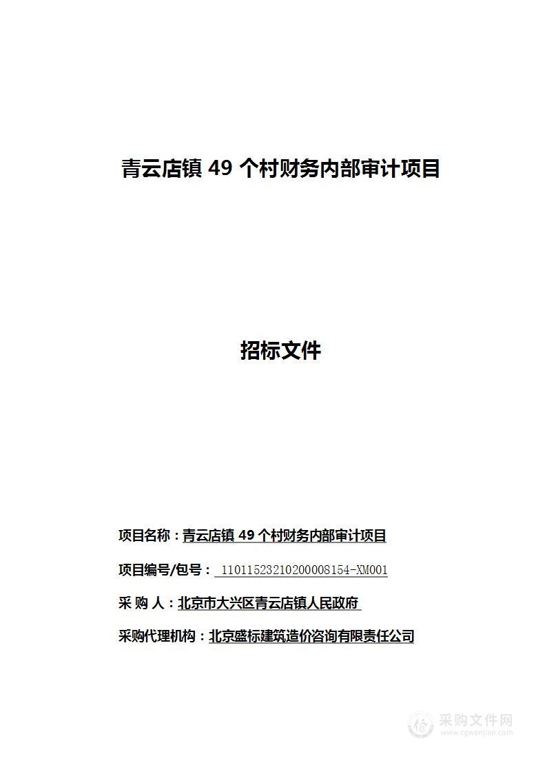 青云店镇49个村财务内部审计项目