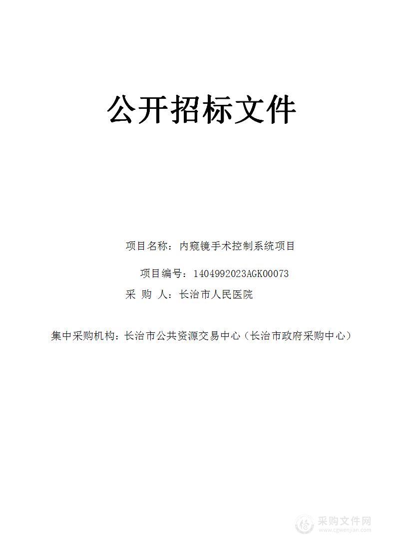 内窥镜手术控制系统项目