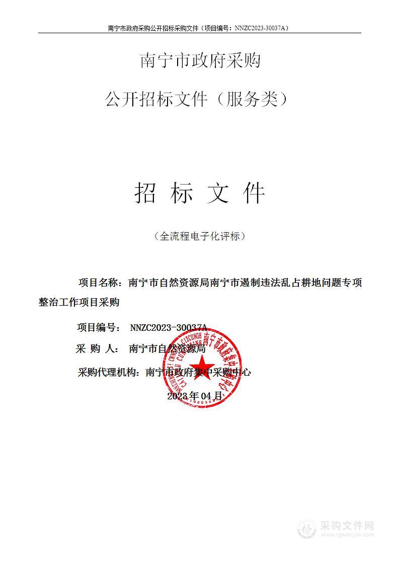 南宁市自然资源局南宁市遏制违法乱占耕地问题专项整治工作项目采购