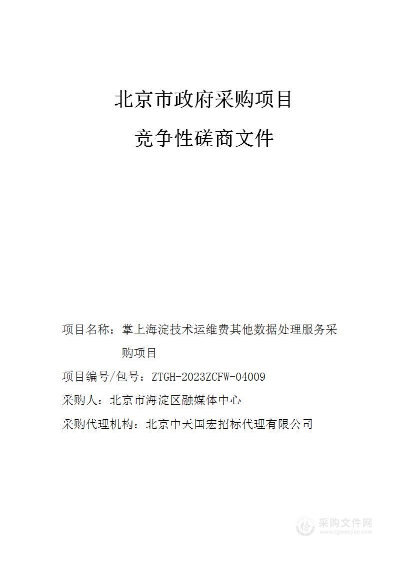 掌上海淀技术运维费其他数据处理服务采购项目