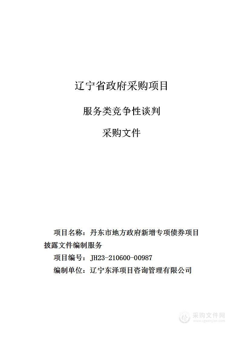 丹东市地方政府新增专项债券项目披露文件编制服务