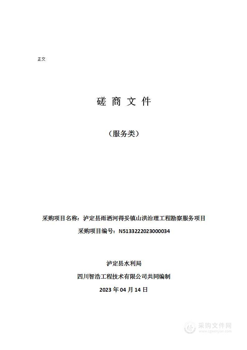 泸定县雨洒河得妥镇山洪治理工程勘察服务项目