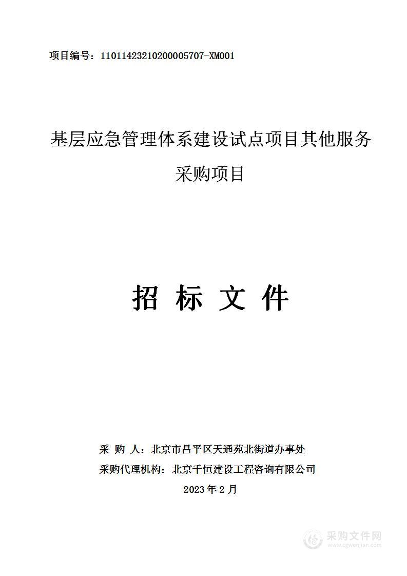 基层应急管理体系建设试点项目其他服务采购项目