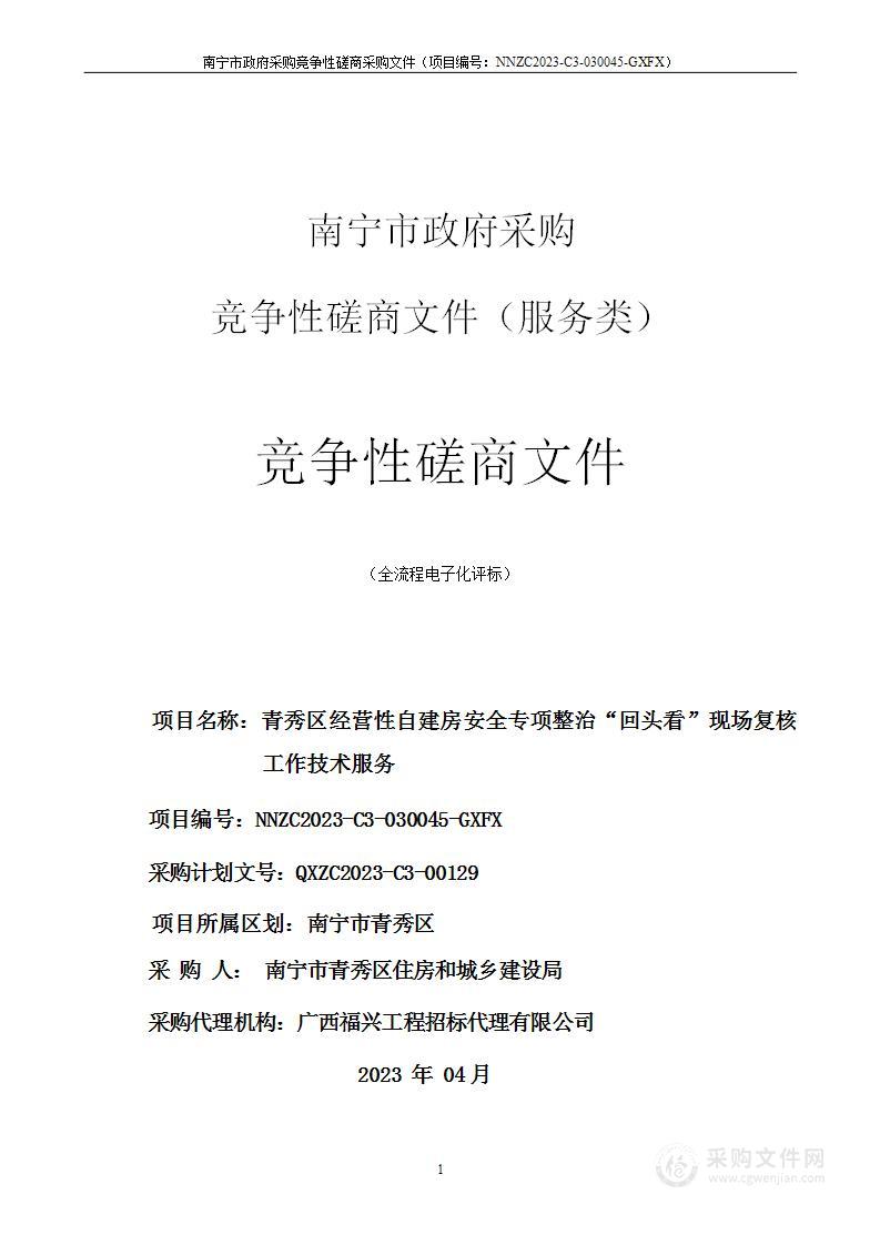 青秀区经营性自建房安全专项整治 “回头看”现场复核工作技术服务