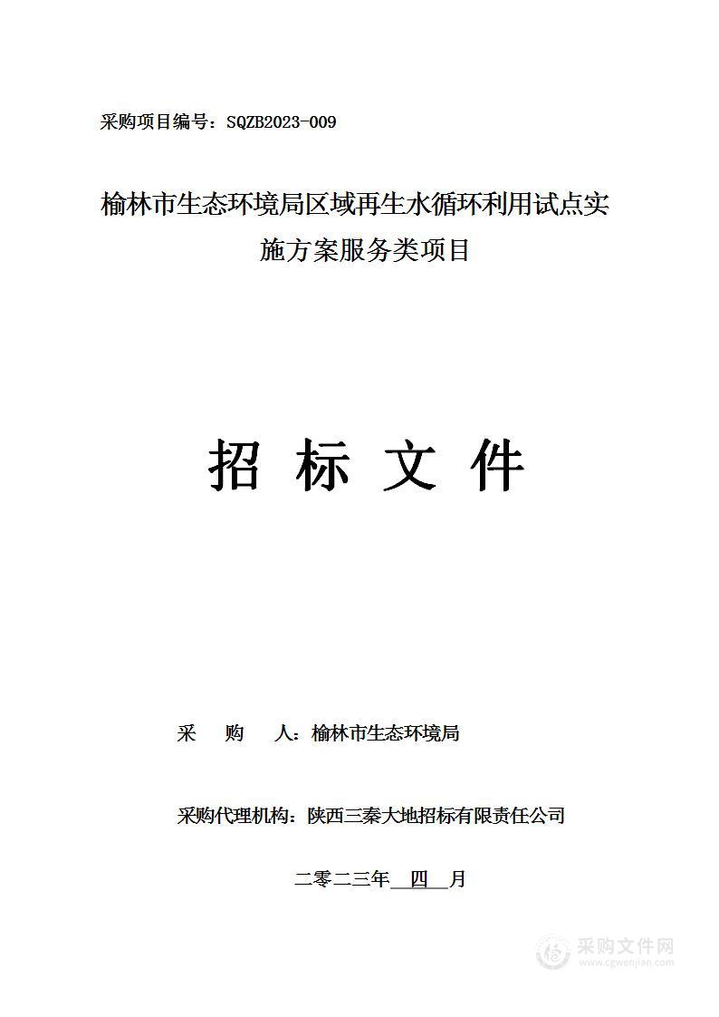 区域再生水循环利用试点实施方案服务类项目