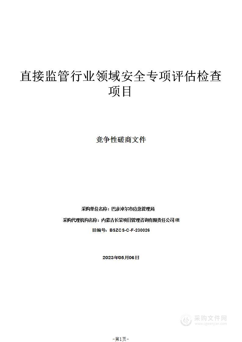 直接监管行业领域安全专项评估检查项目