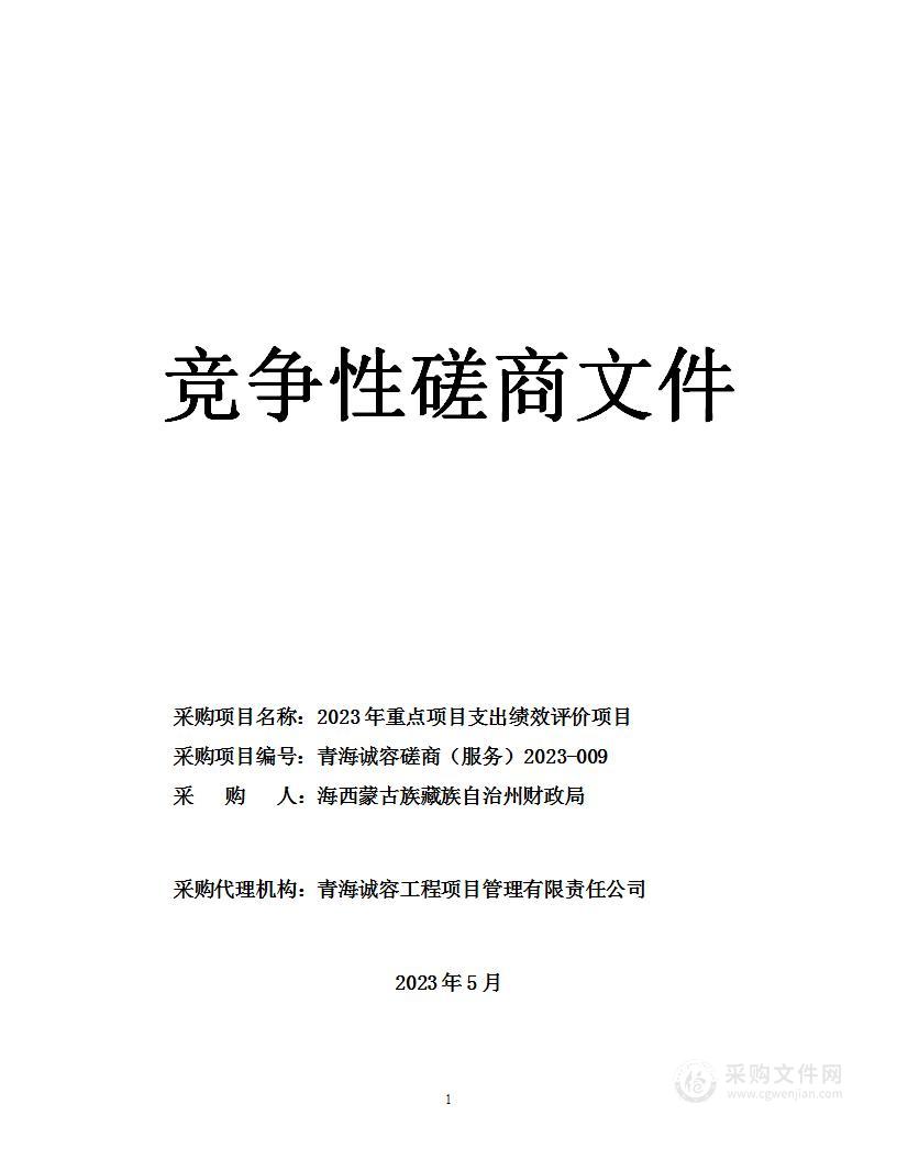 2023年重点项目支出绩效评价项目