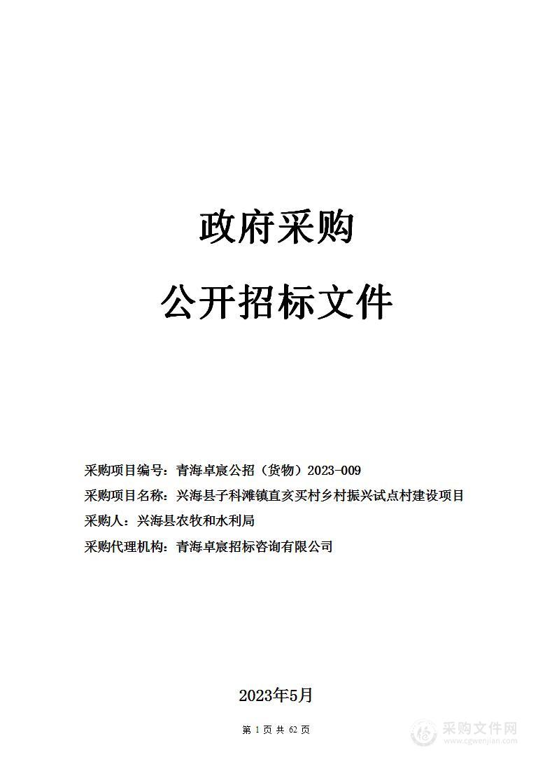 兴海县子科滩镇直亥买村乡村振兴试点村建设项目