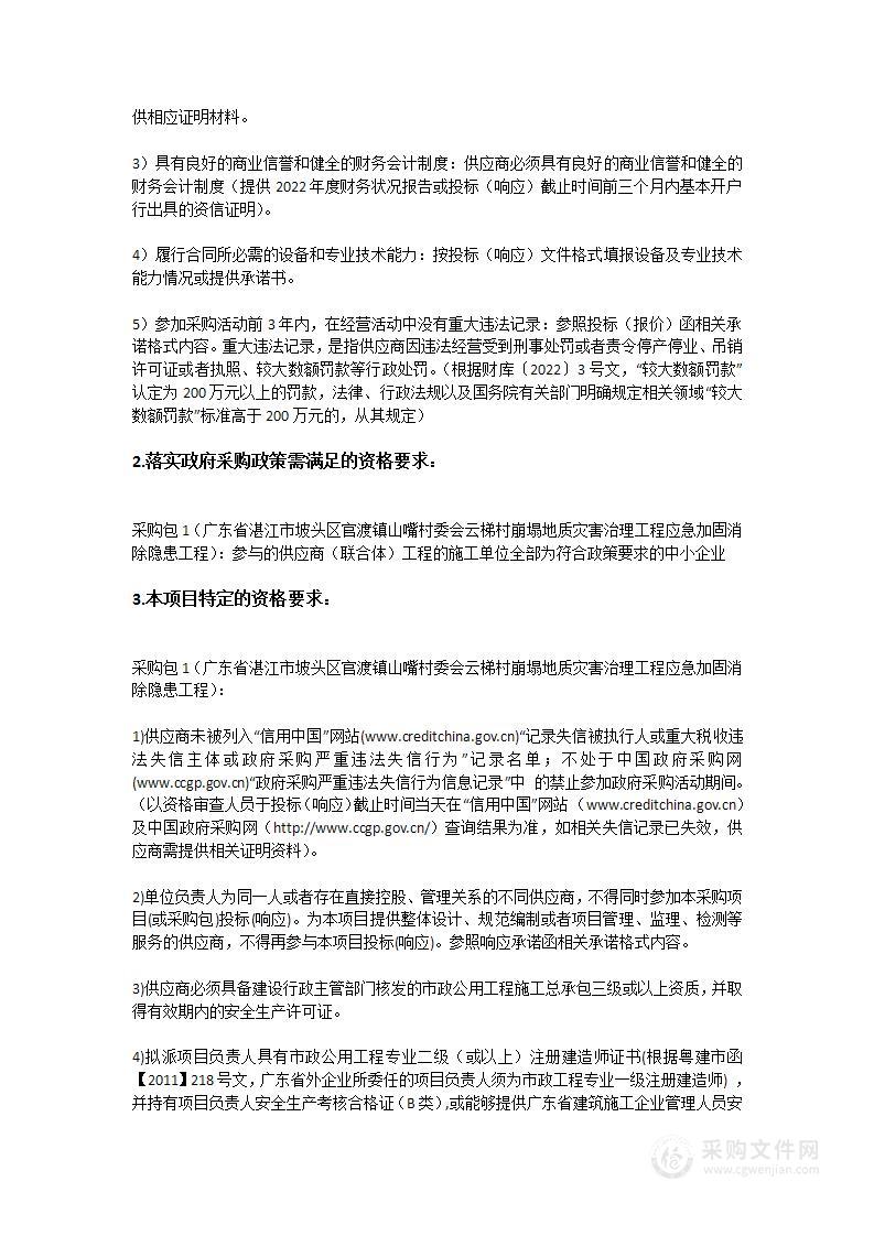 广东省湛江市坡头区官渡镇山嘴村委会云梯村崩塌地质灾害治理工程应急加固消除隐患工程