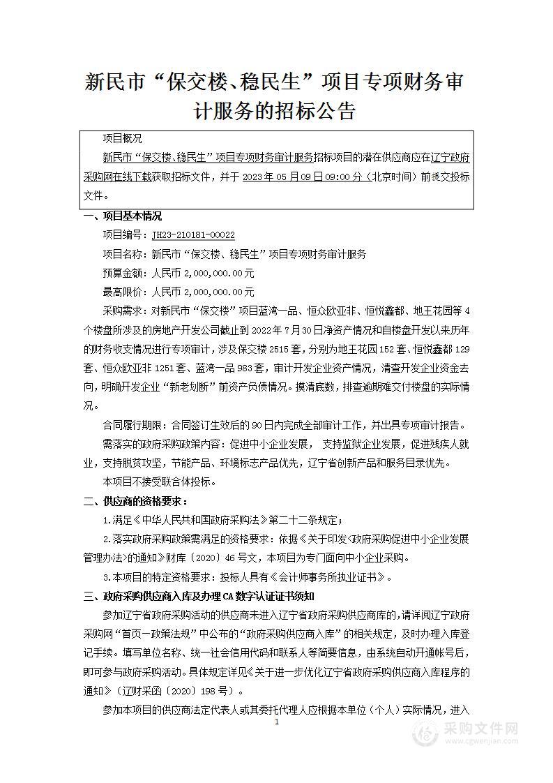 新民市“保交楼、稳民生”项目专项财务审计服务