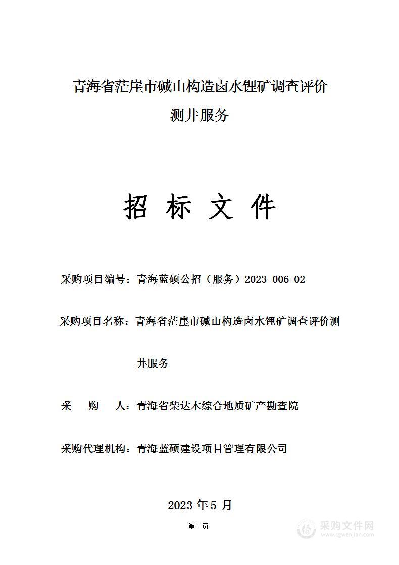 青海省茫崖市碱山构造卤水锂矿调查评价测井服务（分包2）