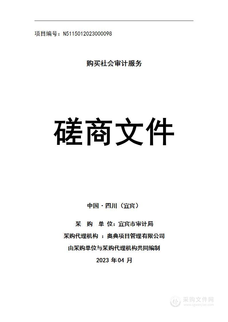 宜宾市审计局购买社会审计服务