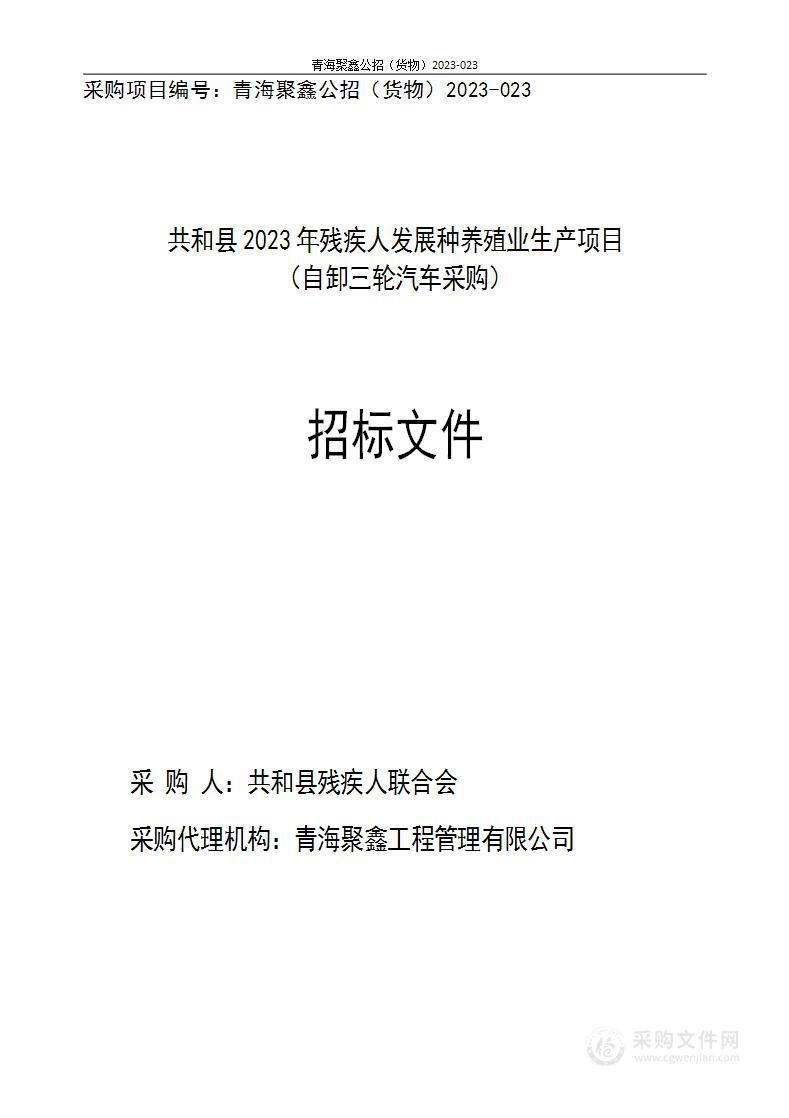 共和县2023年残疾人发展种养殖业生产项目（自卸三轮汽车采购）