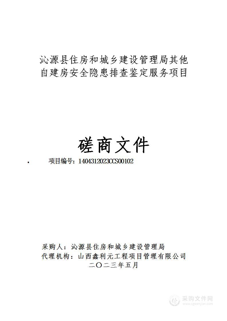 其他自建房安全隐患排查鉴定服务项目