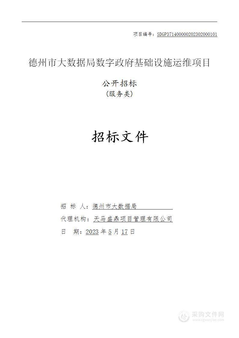 德州市大数据局数字政府基础设施运维项目