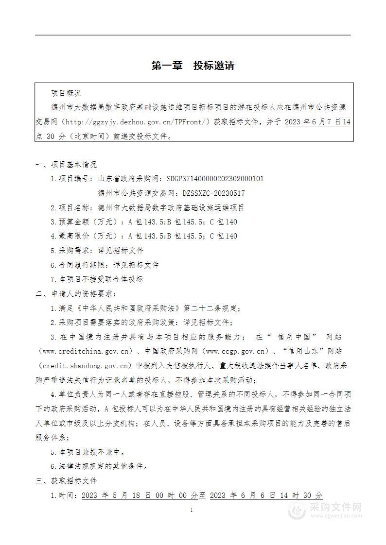 德州市大数据局数字政府基础设施运维项目