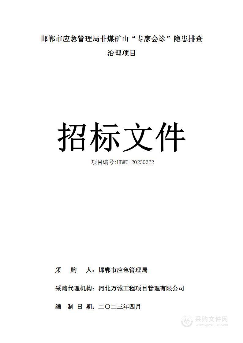 邯郸市应急管理局非煤矿山“专家会诊”隐患排查治理项目