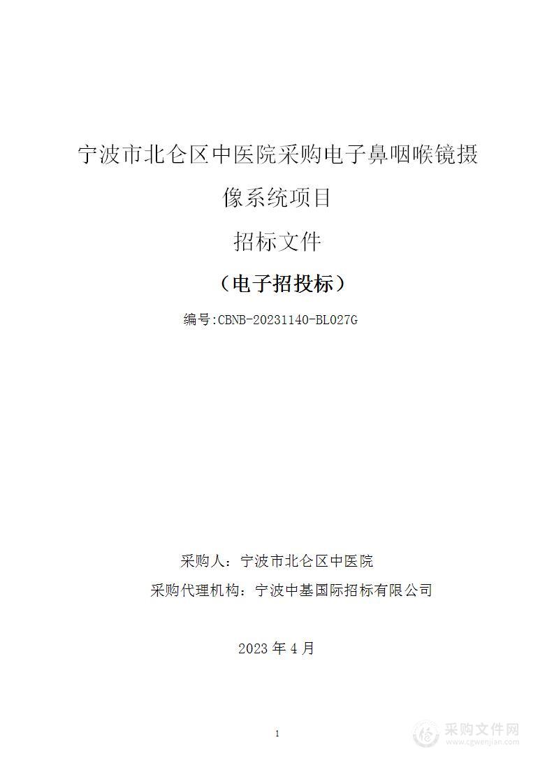 宁波市北仑区中医院采购电子鼻咽喉镜摄像系统项目