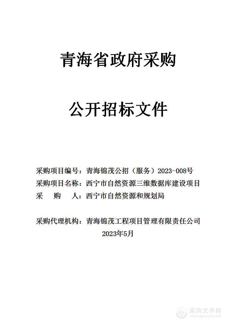 西宁市自然资源三维数据库建设项目