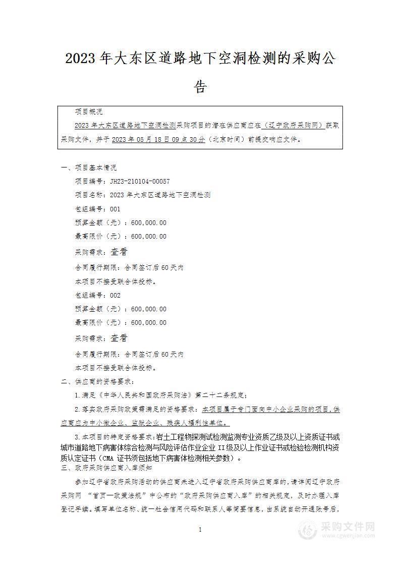 2023年大东区道路地下空洞检测