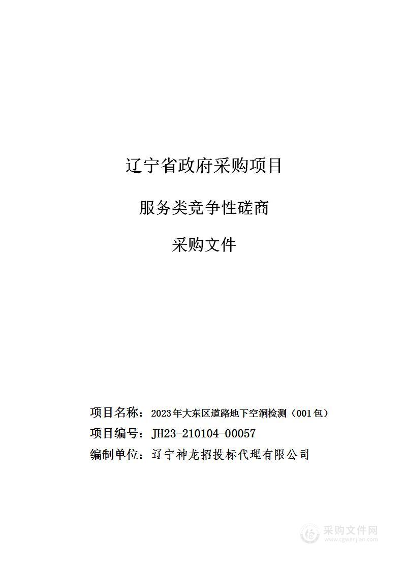 2023年大东区道路地下空洞检测