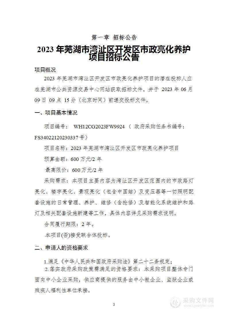 2023年芜湖市湾沚区开发区市政亮化养护项目