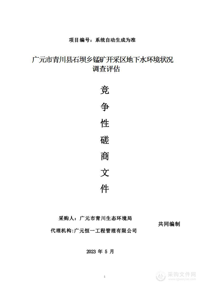 广元市青川县石坝乡锰矿开采区地下水环境状况调查评估