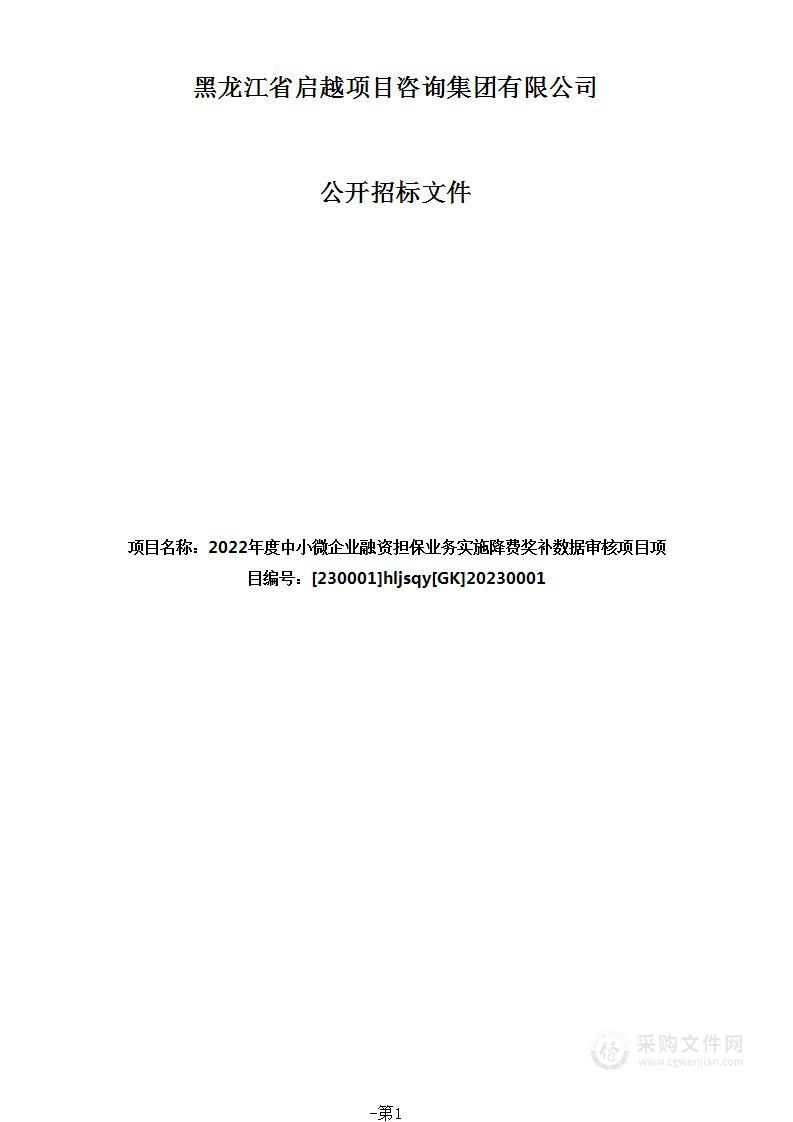 2022年度中小微企业融资担保业务实施降费奖补数据审核项目