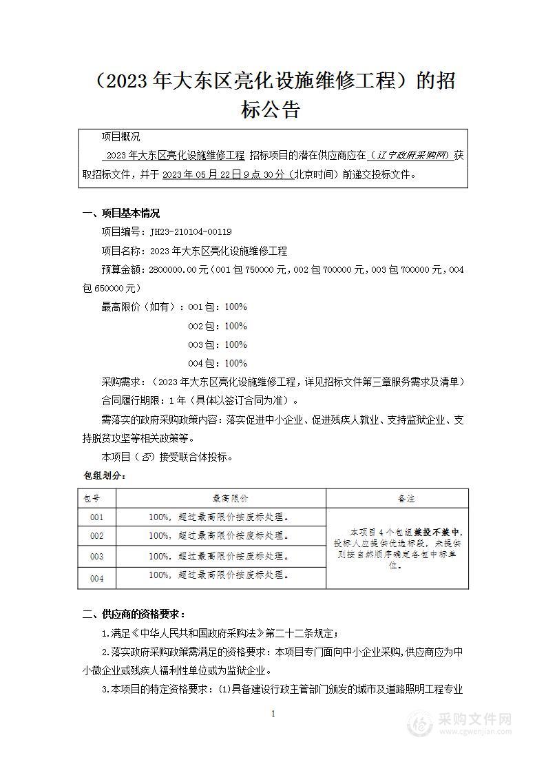 2023年大东区亮化设施维修工程