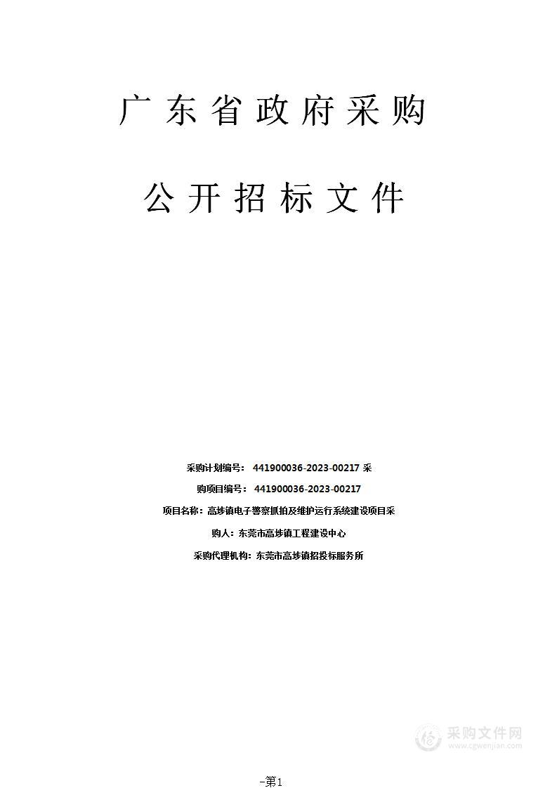 高埗镇电子警察抓拍及维护运行系统建设项目