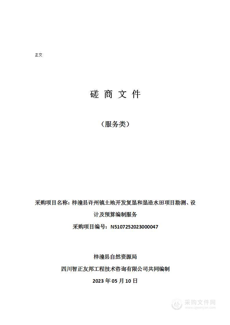 梓潼县许州镇土地开发复垦和垦造水田项目勘测、设计及预算编制服务