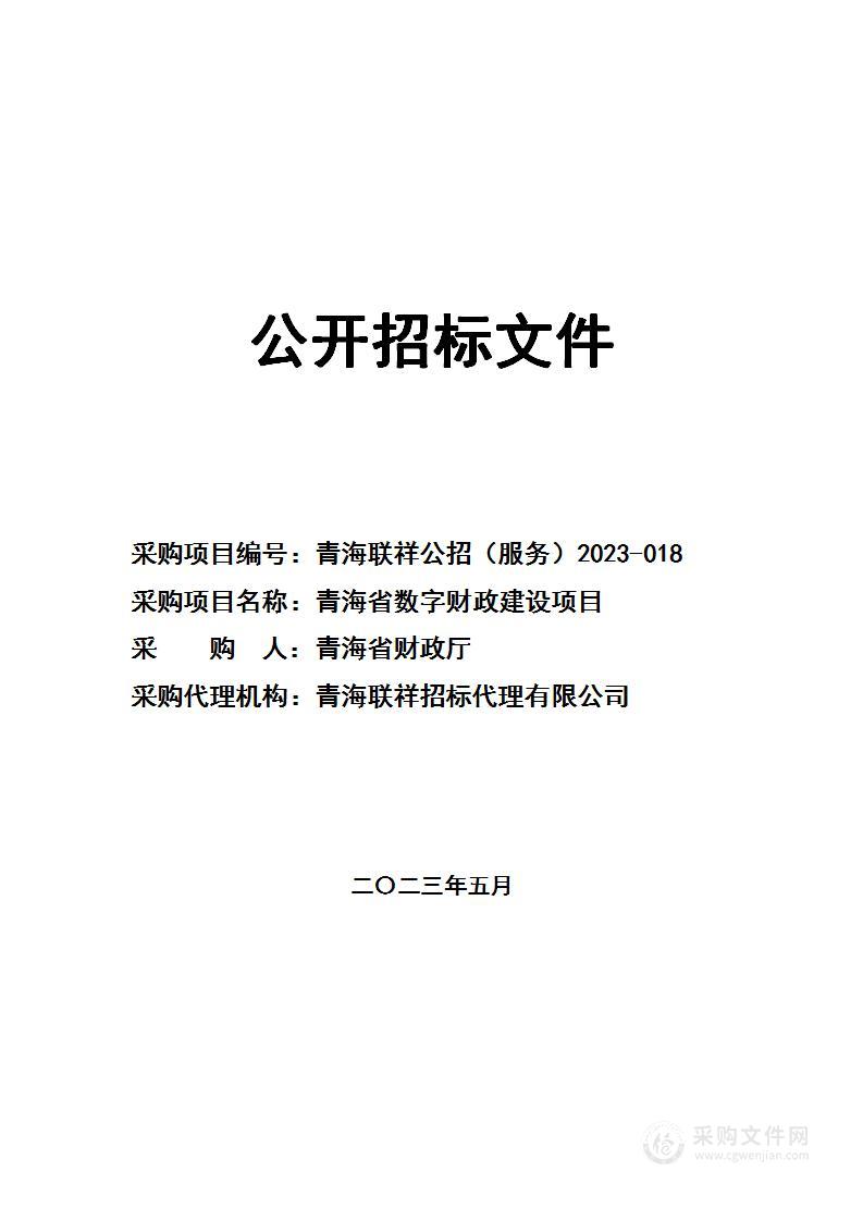 青海省数字财政建设项目