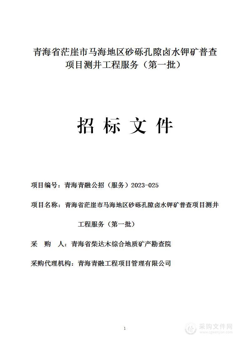 青海省茫崖市马海地区砂砾孔隙卤水钾矿普查项目测井工程服务（第一批）