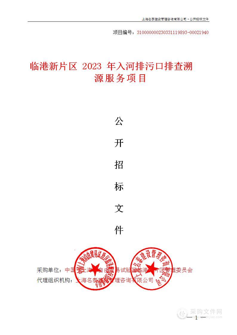 临港新片区2023年入河排污口排查溯源服务项目