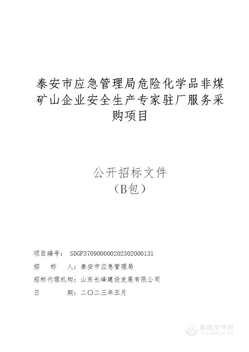 泰安市应急管理局危险化学品非煤矿山企业安全生产专家驻厂服务采购项目