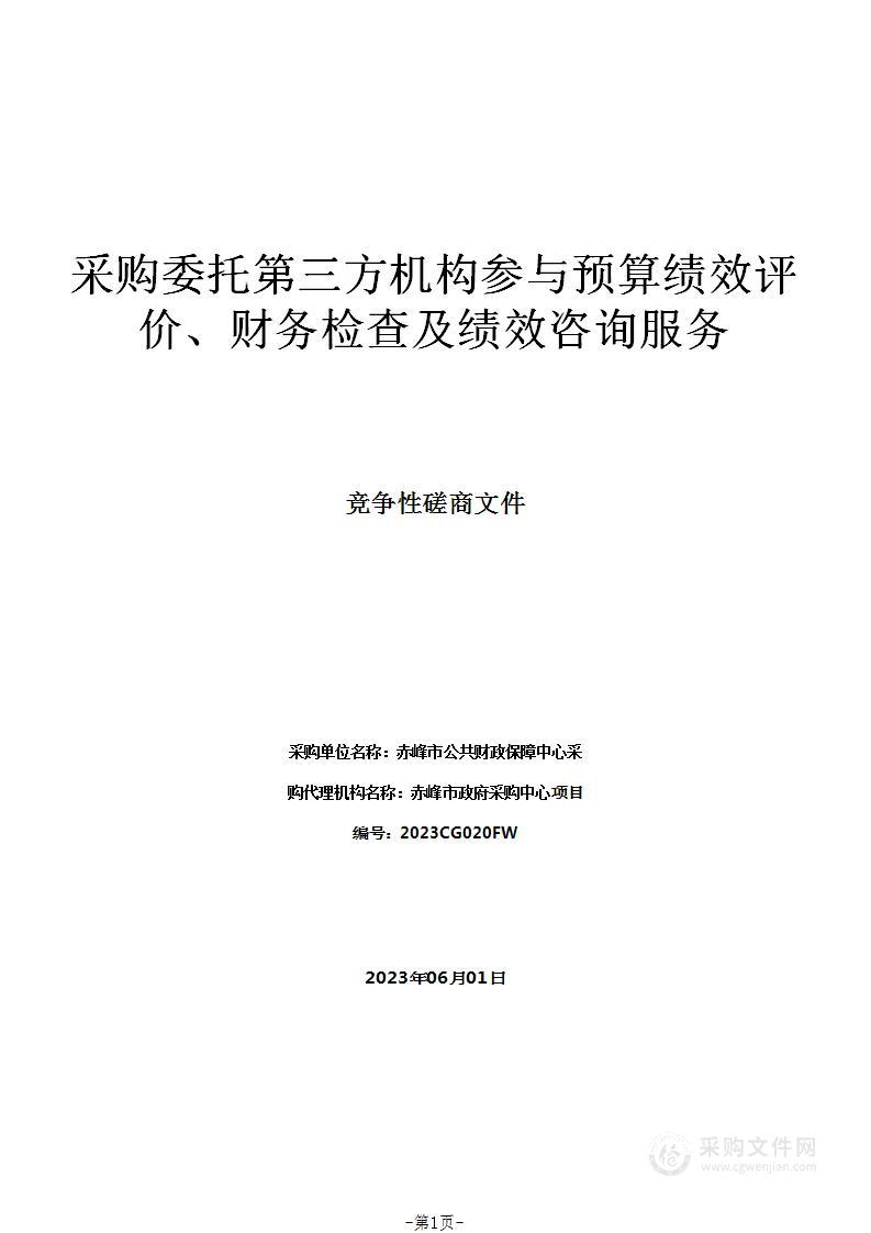 采购委托第三方机构参与预算绩效评价、财务检查及绩效咨询服务