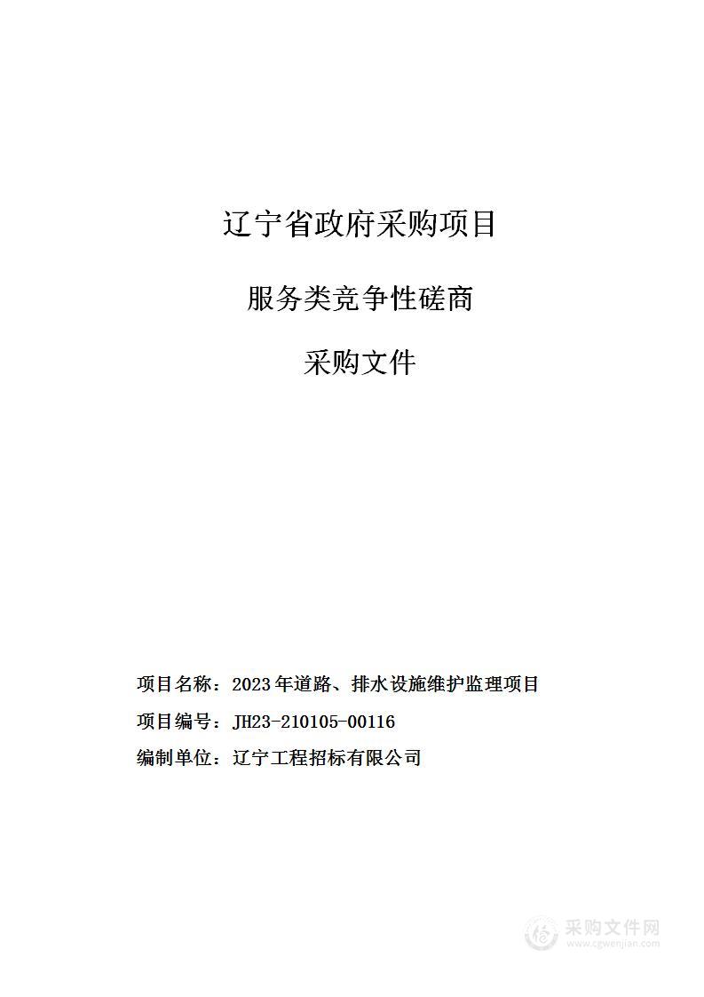 2023年道路、排水设施维护监理项目