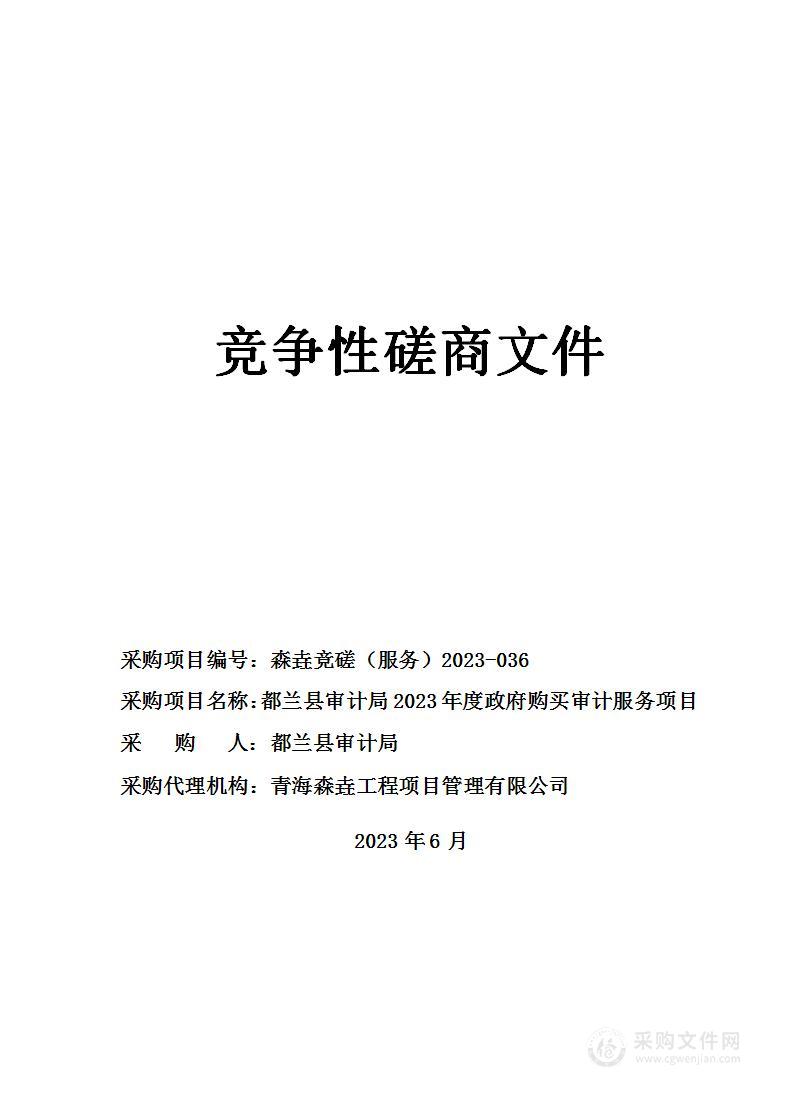 都兰县审计局2023年度政府购买审计服务项目