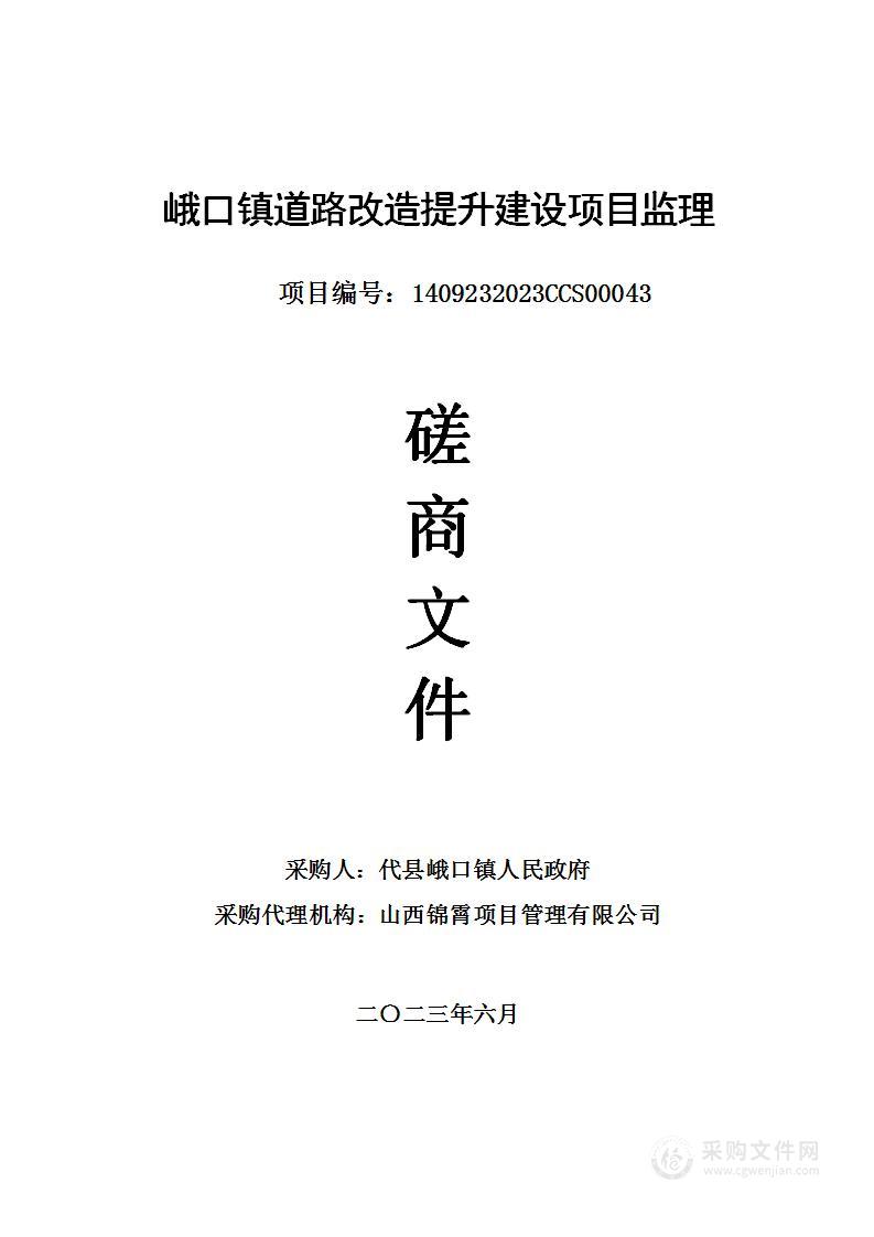 峨口镇道路改造提升建设项目监理