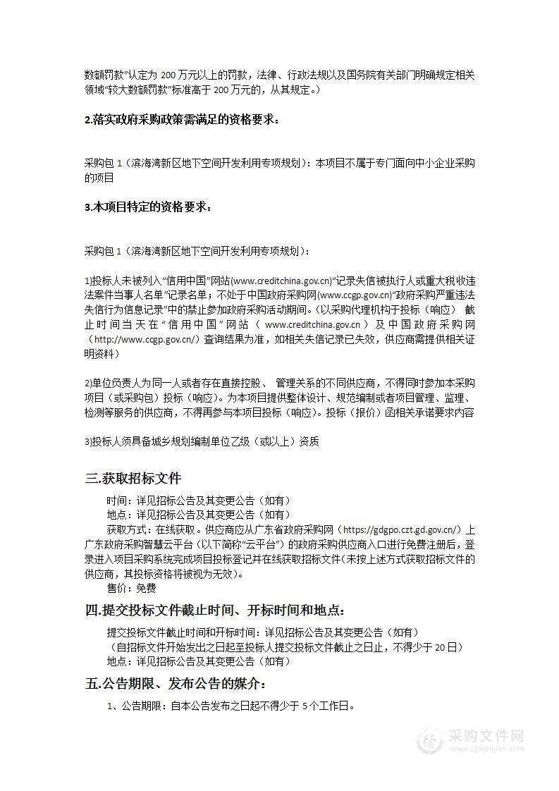 滨海湾新区地下空间开发利用专项规划