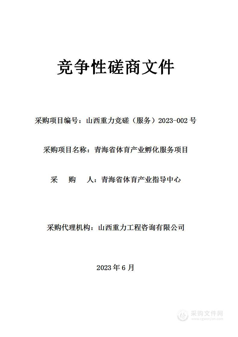 青海省体育产业孵化服务项目