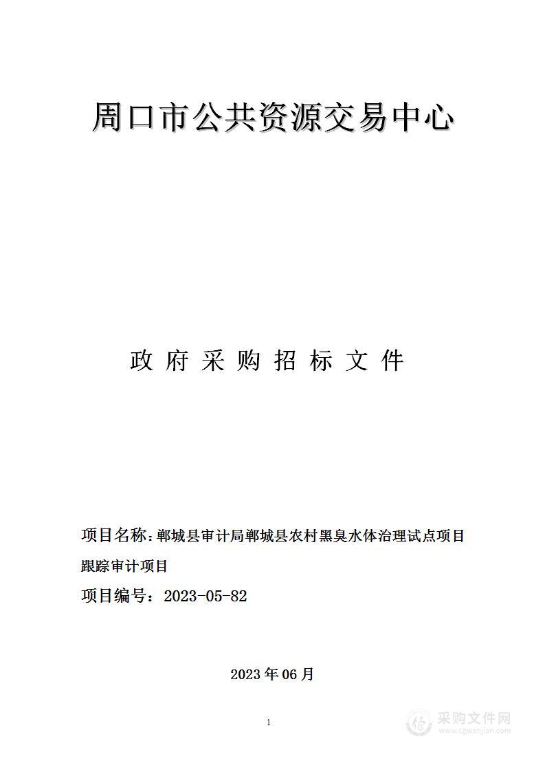 郸城县审计局农村黑臭水体治理试点项目跟踪审计项目