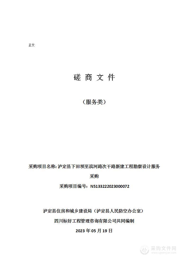 泸定县下田坝至滨河路次干路新建工程勘察设计服务采购