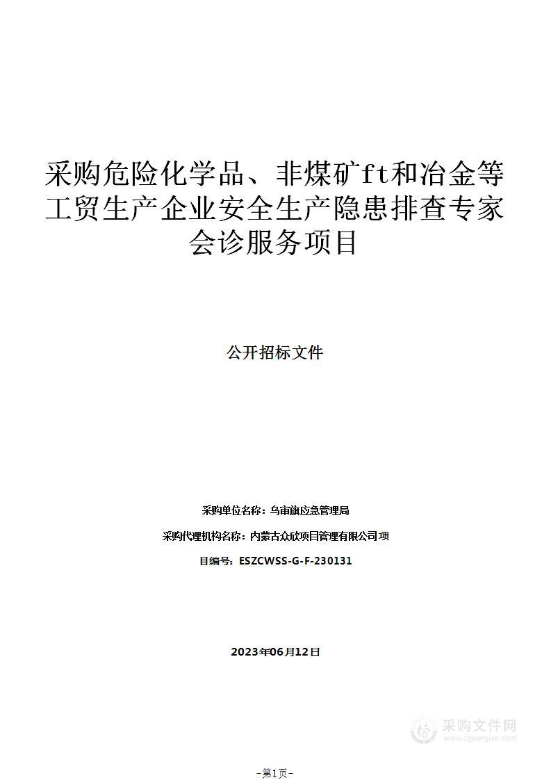 采购危险化学品、非煤矿山和冶金等工贸生产企业安全生产隐患排查专家会诊服务项目