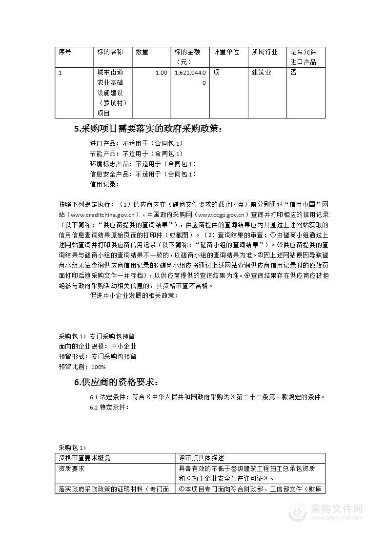 城东街道农业基础设施建设（罗坑村）项目