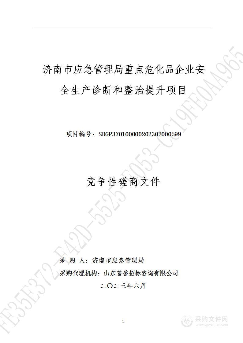 济南市应急管理局重点危化品企业安全生产诊断和整治提升项目