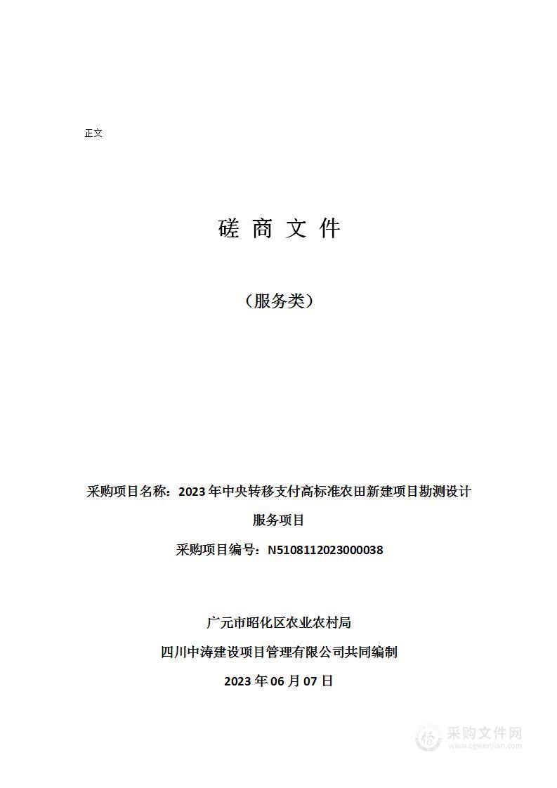 2023年中央转移支付高标准农田新建项目勘测设计服务项目