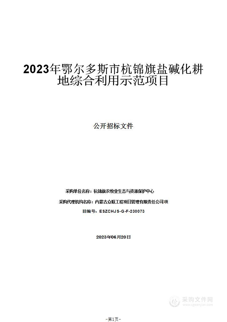 2023年鄂尔多斯市杭锦旗盐碱化耕地综合利用示范项目