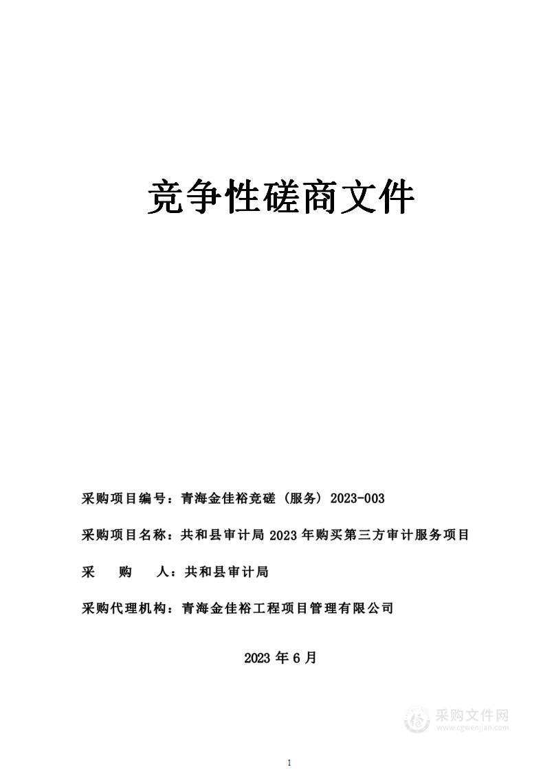 共和县审计局2023年购买第三方审计服务项目